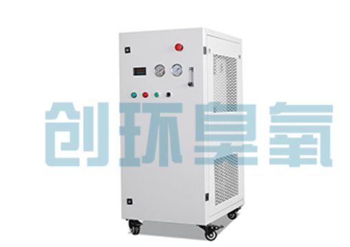 北海石斑鱼养殖水质调控完整指南:臭氧发生器配置与操作步骤