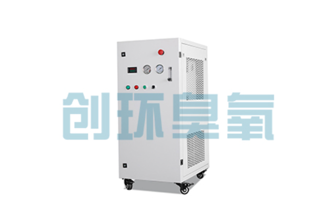 北海比传统换水更高效？臭氧发生器在石斑鱼养殖中的水质净化原理解析